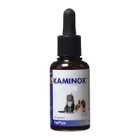 Kaminox, 60 ml