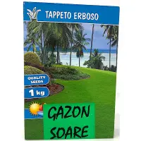 Seminte gazon soare 1 kg - Default Title