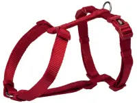 Ham pentru caini Premium M-L 52-75 cm 20 mm rosu