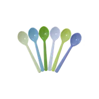 Set de 6 lingurite multicolore