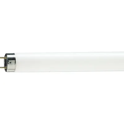 Tub Fluorescent TL-D Food 36W