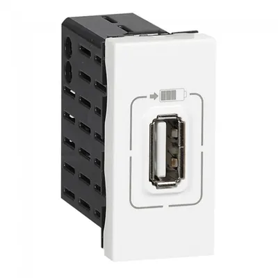 Priza USB Legrand