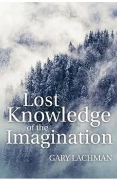 Lost Knowledge of the Imagination