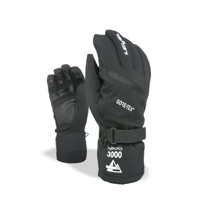 Mănuși de schi pentru bărbați Level Evolution Gore-Tex