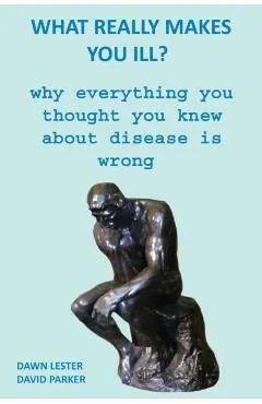 What Really Makes You Ill?: Why Everything You Thought You Knew About Disease Is Wrong