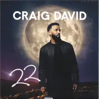 22 - Vinyl