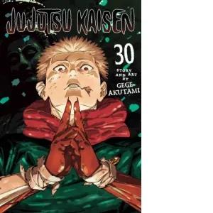 Jujutsu Kaisen, Vol. 30 : Volume 30