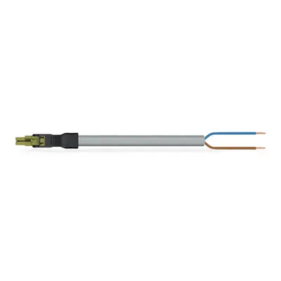 pre-assembled connecting cable; Eca; Socket/open-ended; 2-pole; Cod. B; Control cable 2 x 1.5 mm²; 7 m; 1,50 mm²; light green
