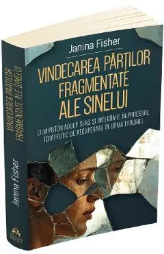 Vindecarea partilor fragmentate ale sinelui