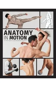 Anatomy in Motion: An Artist's Guide to Capturing Dynamic Movement