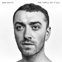 The Thrill Of It All - Vinyl