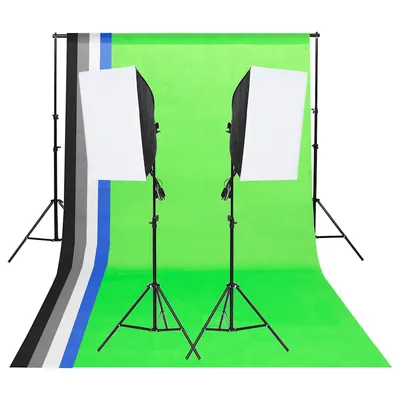 vidaXL Kit de iluminat pentru studio cu fundaluri și softbox-uri