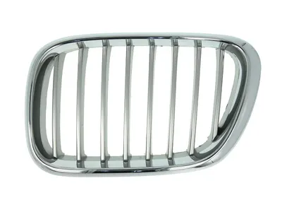 Grila radiator Stanga potrivit BMW X5 (E53) 3.0-4.6 2000-2006 pana in 2003 - (titan)