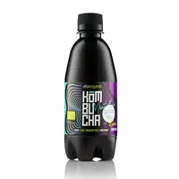 Kombucha cu menta indulcita cu stevia bio 330ml Vita Organic