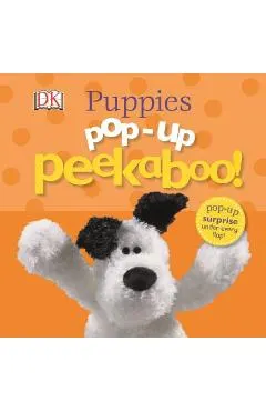 Pop-Up Peekaboo Puppies!: Pop-Up Surprise Under Every Flap!
