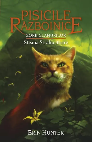 Pisicile războinice. Zorii clanurilor. Steaua Strălucitoare (Vol.28) - Paperback brosat - Erin Hunter