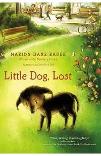 Little Dog, Lost