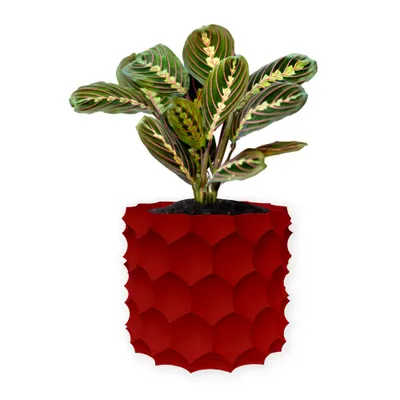 Ghiveci de flori 3d, Razorix , rotund 16.5 x 15.5 cm, Culoare Rosu Engros