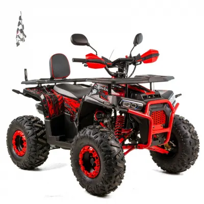 Atv copii XTR 018 8 Pro Discovery, roti 8 inch, 125cc, 4 timpi, 1+1, pornire electrica, culoare negru rosu