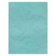 Coperta indosariere A4 CNX, carton imitatie piele, turquoise, 230g/mp, top 100 coli