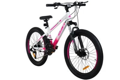 Bicicleta mtb 9-12 ani 24 inch solidă cadru 11" amortizare Davi Bonita Pro