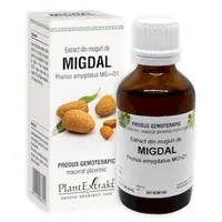 Extract din muguri de migdal, 50ml, PlantExtrakt
