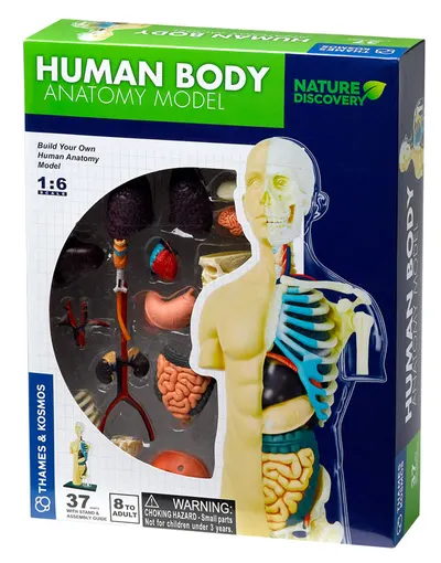 Set pentru copii Kosmos - Anatomia corpului uman