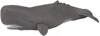 Figurina Papo Marine Life – Casalot