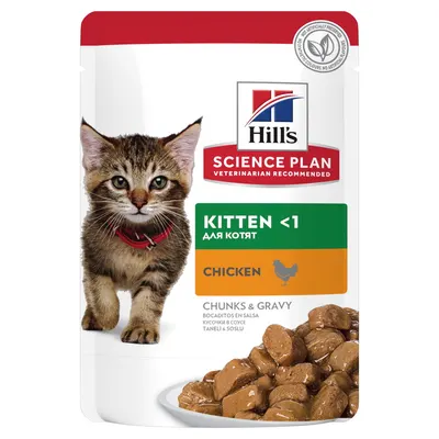 Hills Sp Feline Kitten Chk 12x85 G (plicuri)