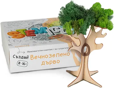 Kit educational Stemico - Copac vesnic verde