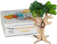 Kit educational Stemico - Copac vesnic verde
