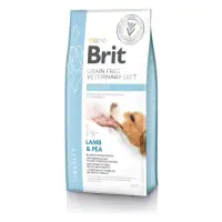 BRIT VD Obesity, XS-XL, Miel, dietă veterinară, hrană uscată fără cereale câini, obezitate, 12kg