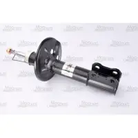 Amortizor Magnum Technology AG2079MT