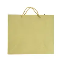 Punga de cadou aurie 27 cm