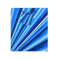 Punga de cadou hartie M STRIPES