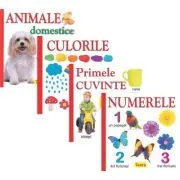 Pachet 4 carti pentru copii, culorile, animele domestice, numerele, primele cuvinte