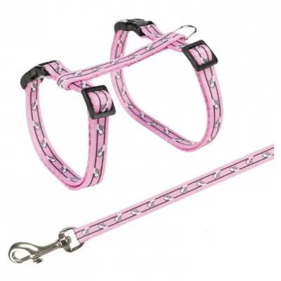 Set lesa si ham pentru pisici 27-46 cm 10 mm
