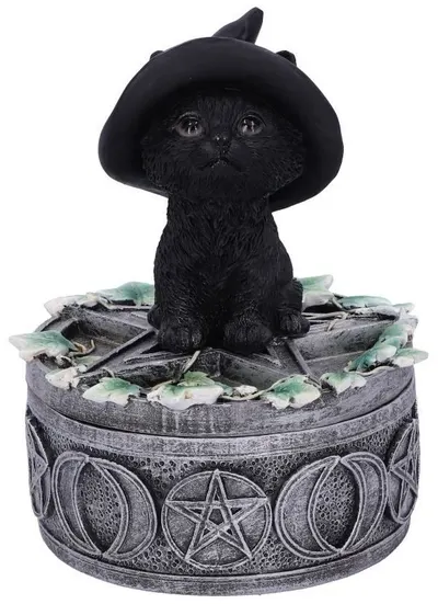 Cutie de depozitare Nemesis Now Adult: Gothic - Ivy Familiar Box, 15 cm