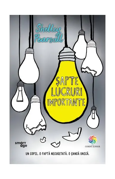 Șapte lucruri importante - Paperback brosat - Shelley Pearsall