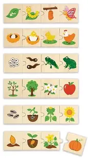 Puzzle din lemn Nowa Szkola - Cicluri de viață