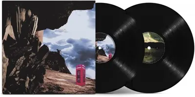 Sky Moves Sideways - Vinyl