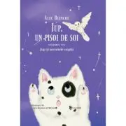 Jup, un pisoi de soi. Volumul 8, Jup si secretele noptii