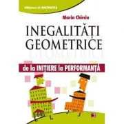 Inegalitati geometrice. De la initiere la performanta