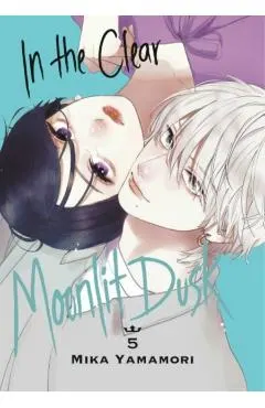 In the Clear Moonlit Dusk 5