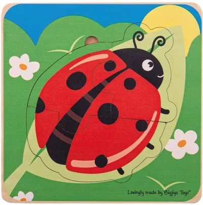 Puzzle educativ Bigjigs - Ciclul de viata al gargaritei