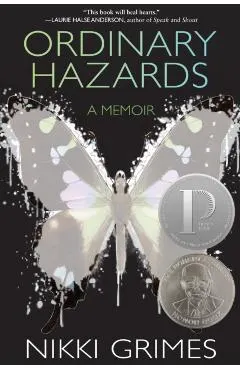 Ordinary Hazards: A Memoir