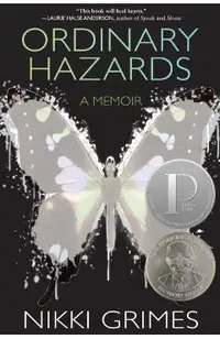 Ordinary Hazards: A Memoir