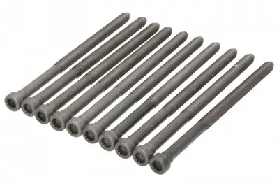 Set surub chiulasa potrivit SKODA KODIAQ I; VW ARTEON, PASSAT ALLTRACK B8, PASSAT B8, TIGUAN 2.0D 08.14