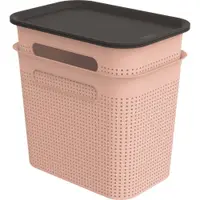 Cutii de depozitare roz-deschis 2 buc. din plastic cu capac 18,5x27x26 cm Brisen – Rotho