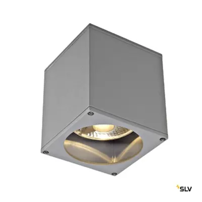 Plafonieră BIG THEO CEILING OUT, ES111, gri arg, max.75W